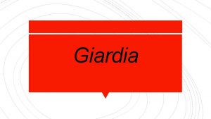 Giardia What is giardiasis Swallowing Giardia picked up