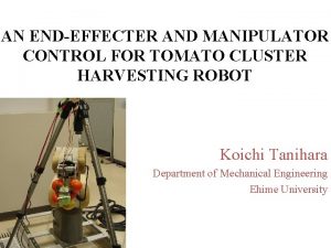 AN ENDEFFECTER AND MANIPULATOR CONTROL FOR TOMATO CLUSTER