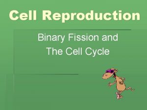 Cell Reproduction Binary Fission and The Cell Cycle