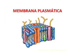 MEMBRANA PLASMTICA Prof Jonas Felipe Recalcatti PARTES DA