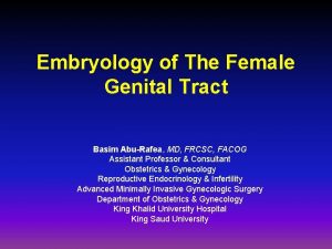 Embryology of The Female Genital Tract Basim AbuRafea