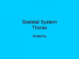 Skeletal System Thorax Anatomy Bony Thorax Chest Part