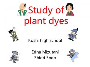 Study of plant dyes Koshi high school Erina