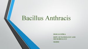 Bacillus Anthracis DR R S GOPIKA DEPT OF