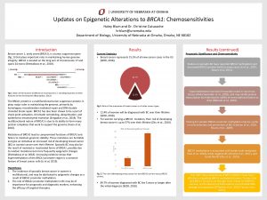 UNIVERSITY OF NEBRASKA AT OMAHA Updates on Epigenetic