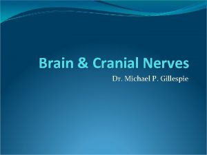 Brain Cranial Nerves Dr Michael P Gillespie Major