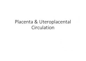 Placenta Uteroplacental Circulation Uteroplacental circulation 2 nd week