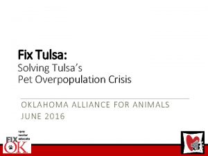 Fix Tulsa Solving Tulsas Pet Overpopulation Crisis OKLAHOMA