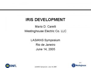 IRIS DEVELOPMENT Mario D Carelli Westinghouse Electric Co