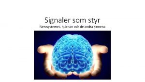 Signaler som styr Nervsystemet hjrnan och de andra
