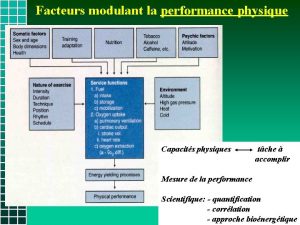 Facteurs modulant la performance physique Capacits physiques tche