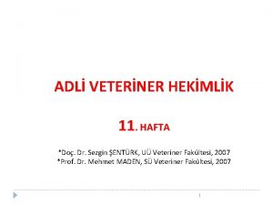 ADL VETERNER HEKMLK 11 HAFTA Do Dr Sezgin