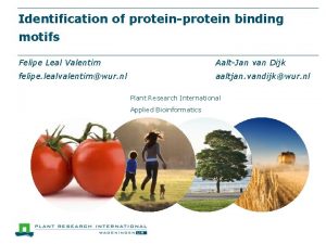 Identification of proteinprotein binding motifs Felipe Leal Valentim