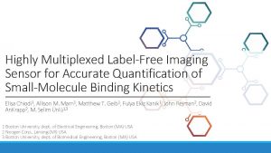 Highly Multiplexed LabelFree Imaging Sensor for Accurate Quantification