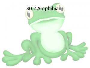 30 2 Amphibians What is an Amphibian The