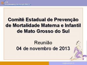 Comit Estadual de Preveno de Mortalidade Materna e