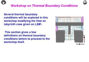 UNICAMP Workshop on Thermal Boundary Conditions MULTLAB FEMUNICAMP