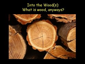 Into the Woods What is wood anyways What