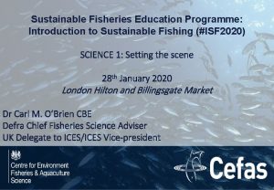 Sustainable Fisheries Education Programme Introduction to Sustainable Fishing