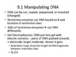 9 1 Manipulating DNA DNA can be cut