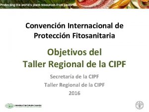 Convencin Internacional de Proteccin Fitosanitaria Objetivos del Taller