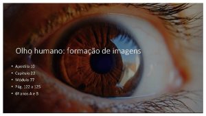 Olho humano formao de imagens Apostila 10 Capitulo