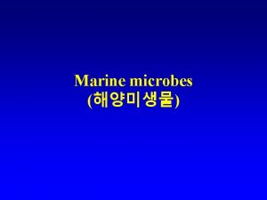 Marine microbes Marine microbes Microbes Invisible to the