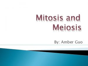 Mitosis and Meiosis By Amber Guo What Are