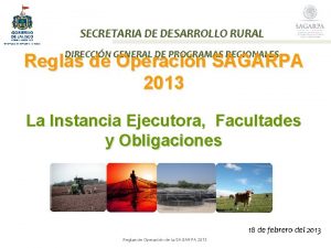 SECRETARIA DE DESARROLLO RURAL DIRECCIN GENERAL DE PROGRAMAS