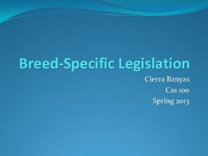 BreedSpecific Legislation Cierra Banyas Cas 100 Spring 2013