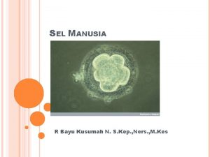 SEL MANUSIA R Bayu Kusumah N S Kep