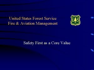United States Forest Service Fire Aviation Management Safety