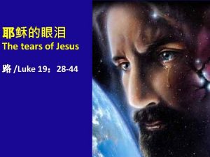 The tears of Jesus Luke 19 28 44