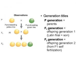 Generation titles P generation parents F 1 generation