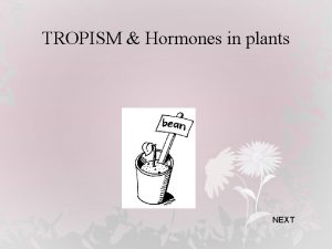 TROPISM Hormones in plants NEXT TROPISM Plant growth