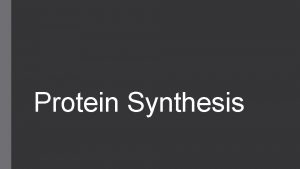 Protein Synthesis Where is DNA found What organelle