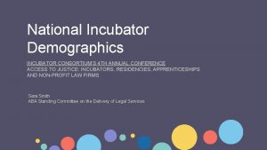 National Incubator Demographics INCUBATOR CONSORTIUMS 4 TH ANNUAL