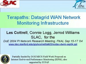 Terapaths Datagrid WAN Network Monitoring Infrastructure Les Cottrell
