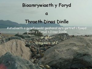 Bioamrywiaeth y Foryd a Thraeth Dinas Dinlle Astudiaeth