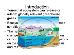 Introduction Terrestrial ecosystem can release or adsorb globally