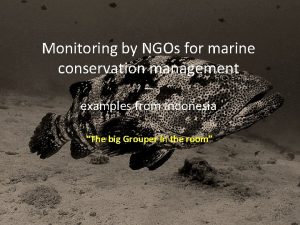 Monitoring by NGOs for marine conservation management examples