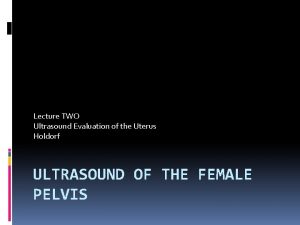 Lecture TWO Ultrasound Evaluation of the Uterus Holdorf