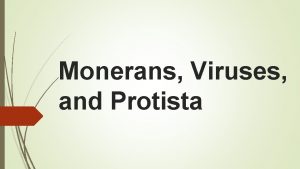 Monerans Viruses and Protista Vocabulary Host an organism