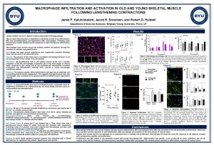 MACROPHAGE INFILTRATION AND ACTIVATION IN OLD AND YOUNG