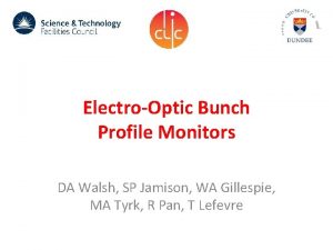 ElectroOptic Bunch Profile Monitors DA Walsh SP Jamison