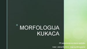 z MORFOLOGIJA KUKACA PP prezentacija za internu upotrebu