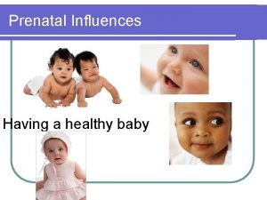 Prenatal Influences Having a healthy baby l Brain