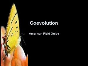 Coevolution American Field Guide Evolution Evolution by natural
