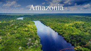 Amazonia Krainy Geograficzne Nizina Amazonki Wyyna Gujaska Nizina