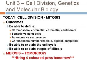 Unit 3 Cell Division Genetics and Molecular Biology